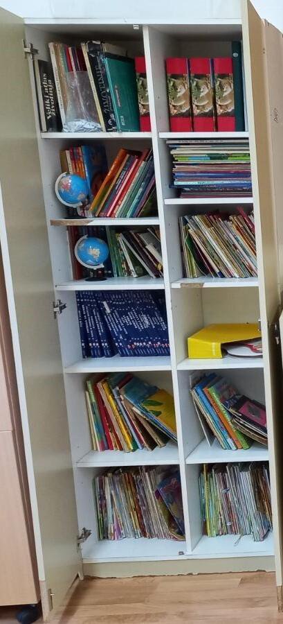 Ormar s knjigama kakav priželjkuju postaviti i u Velikim Bastajima/ Foto: Željka Kollert