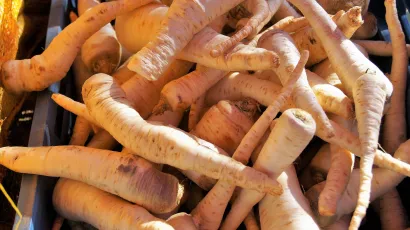 Korijen peršina pokazao se kao najbolji lijek protiv urinarnih infekcija/Foto: Pixabay