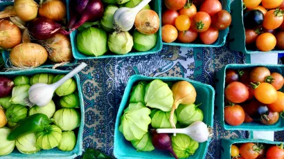 Domaće voće i povrće, uzgajano s tradicionalnim sjemenom, moglo bi otići u povijest/Foto: Unsplash