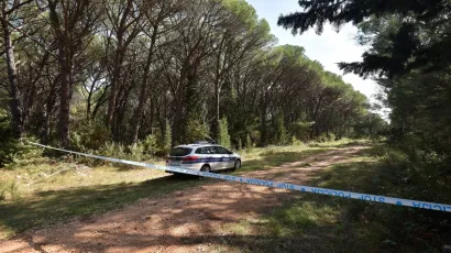 Hrvatske šume su o krađi drva obavijestile policiju /
Foto: Luka Gerlanc/CROPIX (ilustracija)