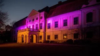 Dvorac Jankovića u objektivu daruvarskog fotoreportera Predraga Uskokovića/Foto: Predrag Uskoković