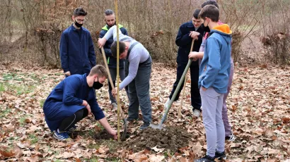 Učenici prvog razreda tehničke škole sade stabla u parku novoobnovljene zgrade Tehničke škole u Ulici Petra Zrinskoj u Daruvaru/Foto:Mojportal.hr
