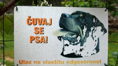 Pas je napao poštara u mjestu Sovari kod Čazme/
Foto: Goran Šebelić/CROPIX (ilustracija)