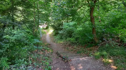Ovako sada izgleda stazica u Rimskoj šumi/Foto: Daria Marković