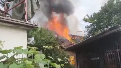Vatrogasci su, srećom, odmah došli i u roku od sat vremena pogasili požar/Foto: Screenshot