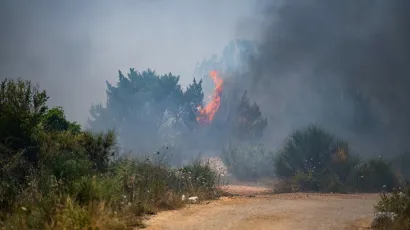 Požari na otvorenom pod utjecajem vjetra često izmaknu kontroli/
Foto: Luka Gerlanc/CROPIX