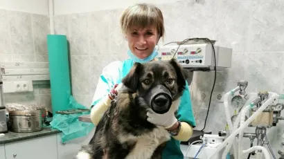 Dođite u subotu u Veterinarsku ambulantu Karaula u Daruvaru i Garešnici/Foto: Veterinarska ambulanta Karaula