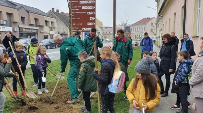 Učenici 3. osnovne škole pomagali su pri sadnje u centru grada/ Foto: Grad Bjelovar