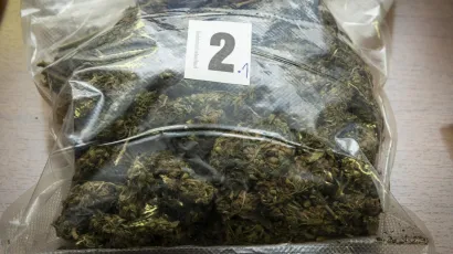 Kod mladog LIpičanina policija pronašla marihuanu/
Foto: Niksa Stipanicev/CROPIX (ILUSTRACIJA)