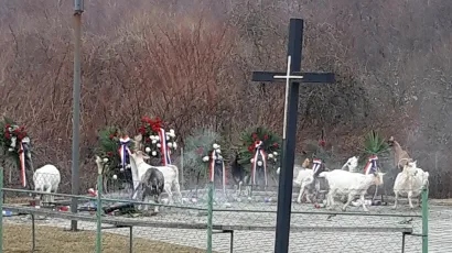 Nesvakidašnji prizor kod spomen obilježja na Bučju/Foto: Pakrački list