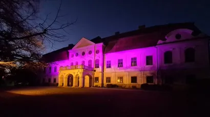 Dvorac grofa Jankovića osvanuo je danas u ružičastoj boji/Foto:Predrag Uskoković