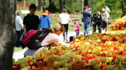 Foto: Arboretum Volčji Potok