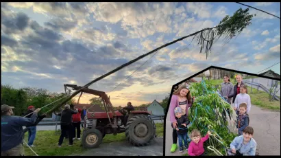 U Donjem Daruvaru postavljen majpan/ Foto: Češka beseda Donji Daruvar
