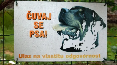 Pas je u Čazmi izašao iz dvorišta i ugrizao dijete/ Foto: Goran Šebelić/CROPIX (ilustracija)