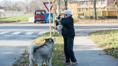 Žena je pokušala spriječiti napad pa je i sama stradala/ Foto: Vlado Kos/Cropix (Ilustracija)