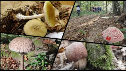 Foto: MojPortal