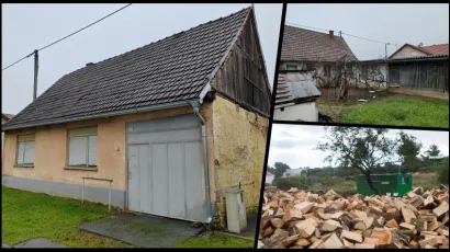 Foto: Martina Čapo, CROPIX