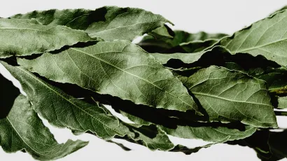 Foto: Unsplash