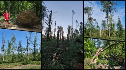Foto: Šumarija Lipik, Nikica Puhalo/MojPortal