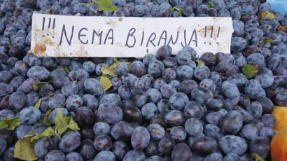 <br>Foto: Duje Klaric/CROPIX (Ilustracija)