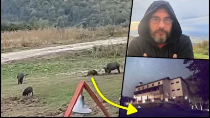 Divlje svinje dolaze do doma na Omanovcu u potrazi za hranom/Foto: Privatni album, FOTOimago