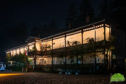 Švicarska vila/Predrag Uskoković/Daruvarski portfolio