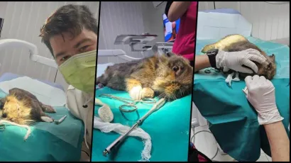 Pablo u stomatološkoj ordinaciji Igora Jareša/Foto: Privatni album