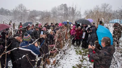 Foto: Predrag Uskoković/Grad Daruvar