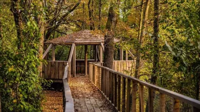 Staza kroz prekrasnu drvenu šetnicu/ Foto: Run Čazma