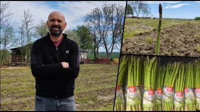Vijest da se Marinko više neće baviti šparogama rastužila je mnoge/Foto: Martina Čapo/MojPortal.hr