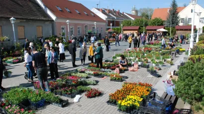 Foto: Grad Čazma
