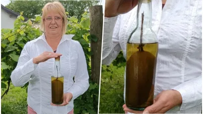 Sanja krastavac čuva kao pravo blago/Foto: Slavica Trgovac Martan