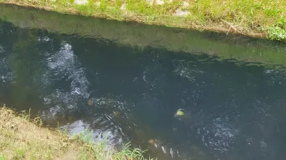 Foto: Čitatelj