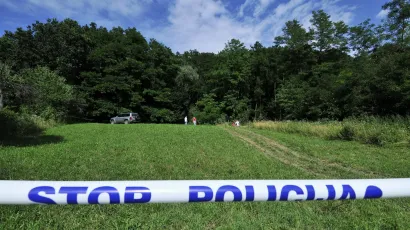 Policija traga za osobom koja je ukrala drva iz državne šume/Foto: Boris Kovačev/CROPIX (ilustracija)