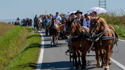 Svečana povorka prodefilirala je kroz Duhove, Uljanik i Hrastovac/Foto: Dejan Adžić