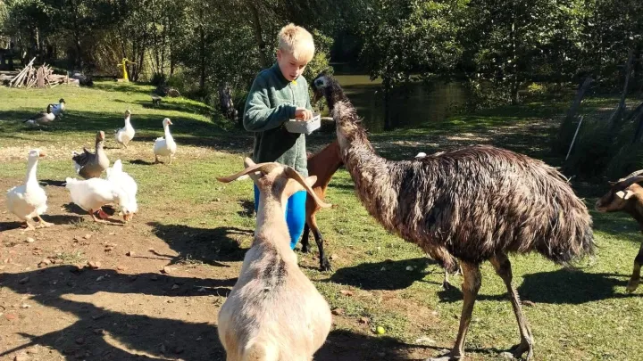 Duje obožava životinje/Foto: Privatni album