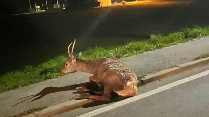 Foto: čitatelj