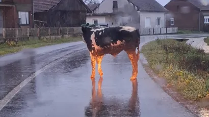 Foto: Čitatelj