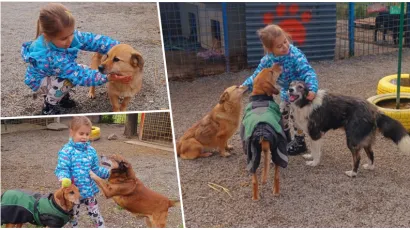Foto: Udruga Vau Vau