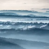 Foto: DEJAN Photography