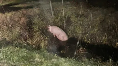Foto: Čitatelj
