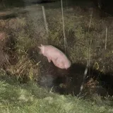 Foto: Čitatelj