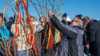 Tradicionalni blagoslov trsa na Vincekovo/ Foto: Predrag Uskoković/Grad Daruvar