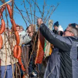 Tradicionalni blagoslov trsa na Vincekovo/ Foto: Predrag Uskoković/Grad Daruvar