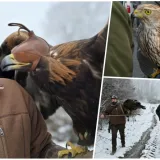 Foto: Hrvatski lovački savez