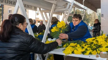 Foto: Predrag Uskoković/Grad Daruvar