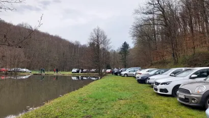 Foto: Lipa Garešnica