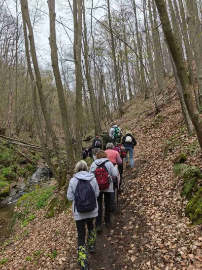 Foto: Lipa Garešnica