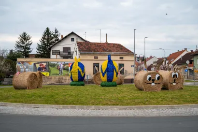 Foto: Predrag Uskoković/Grad Daruvar