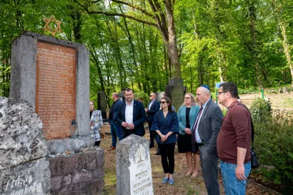 Foto: Predrag Uskoković/Grad Daruvar